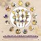 24-Pieces Mini Boho Dried Flower Bouquet for Wedding & DIY Decor